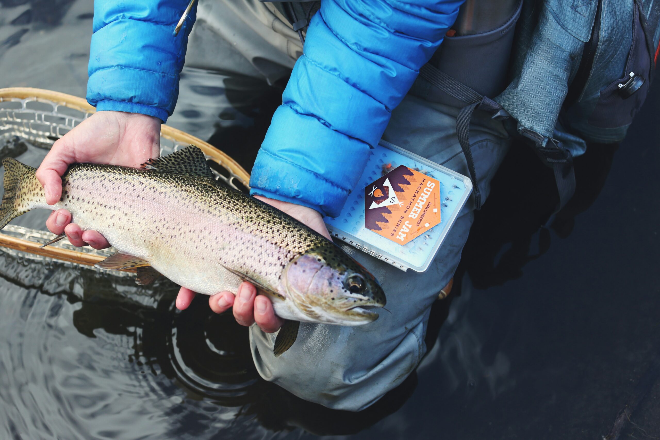 Can You Fish In The Lakes Around Mount Shasta?