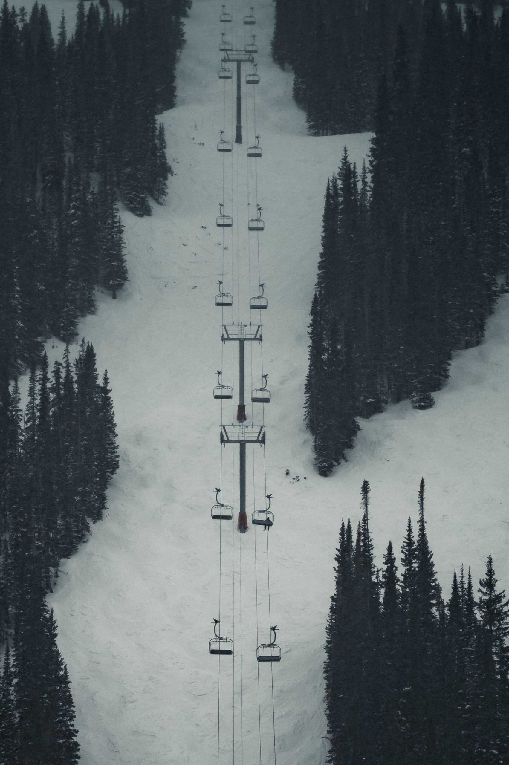 What Is The Length Of Mount Shastas Ski Season?