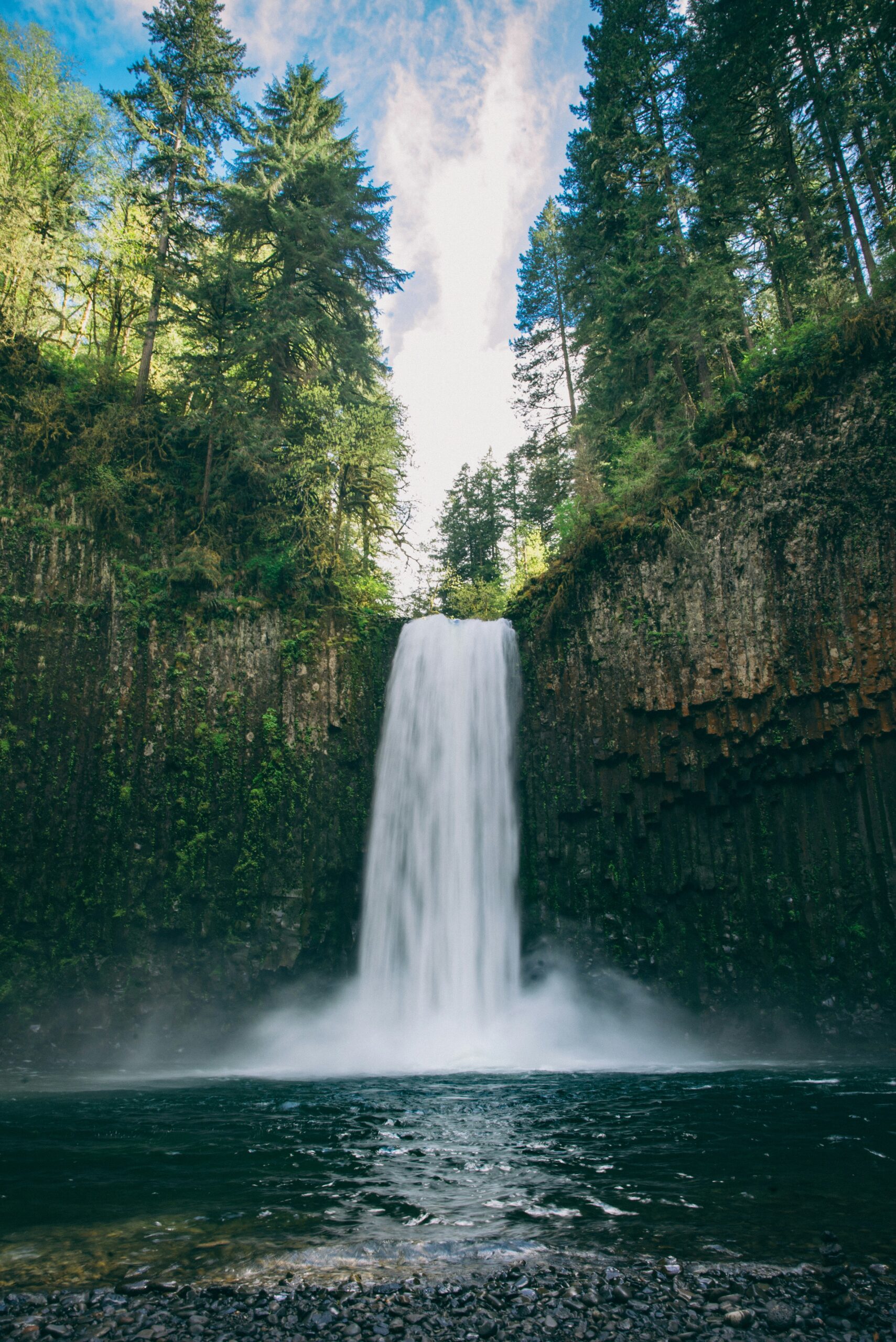 Discover the Breathtaking McCloud River Trail and Its Enchanting Waterfalls