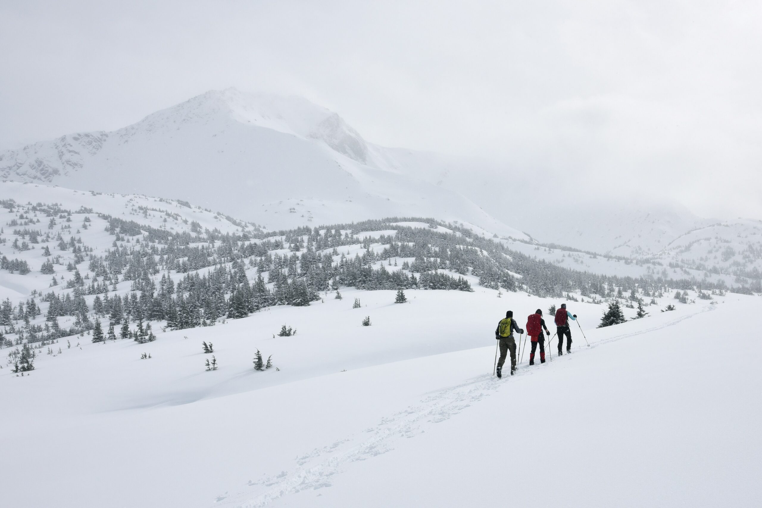 Embark on a Winter Wonderland: Backcountry Skiing Adventure