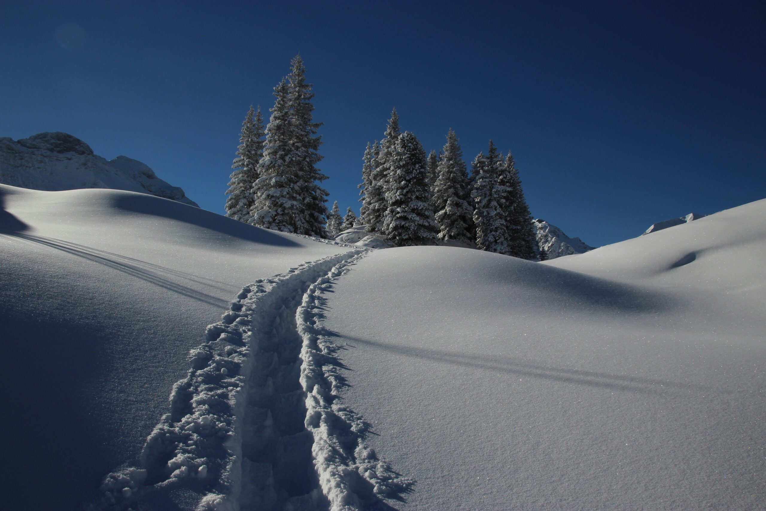 Embark on a Winter Wonderland: Backcountry Skiing Adventure