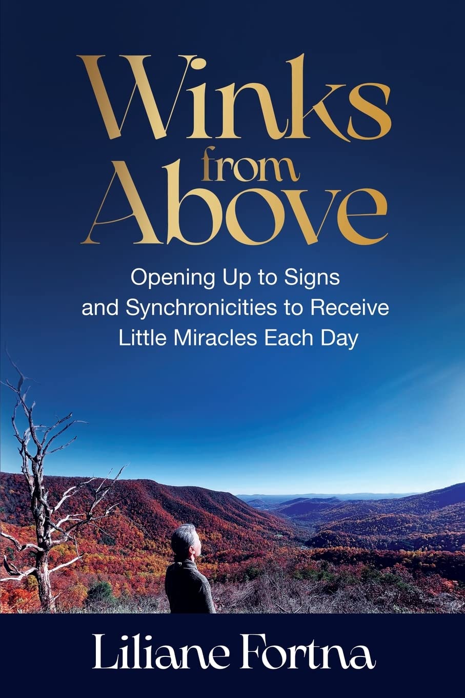 Winks from Above: Opening Up to Signs and Synchronicities to Receive Little Miracles Each Day Paperback Review
