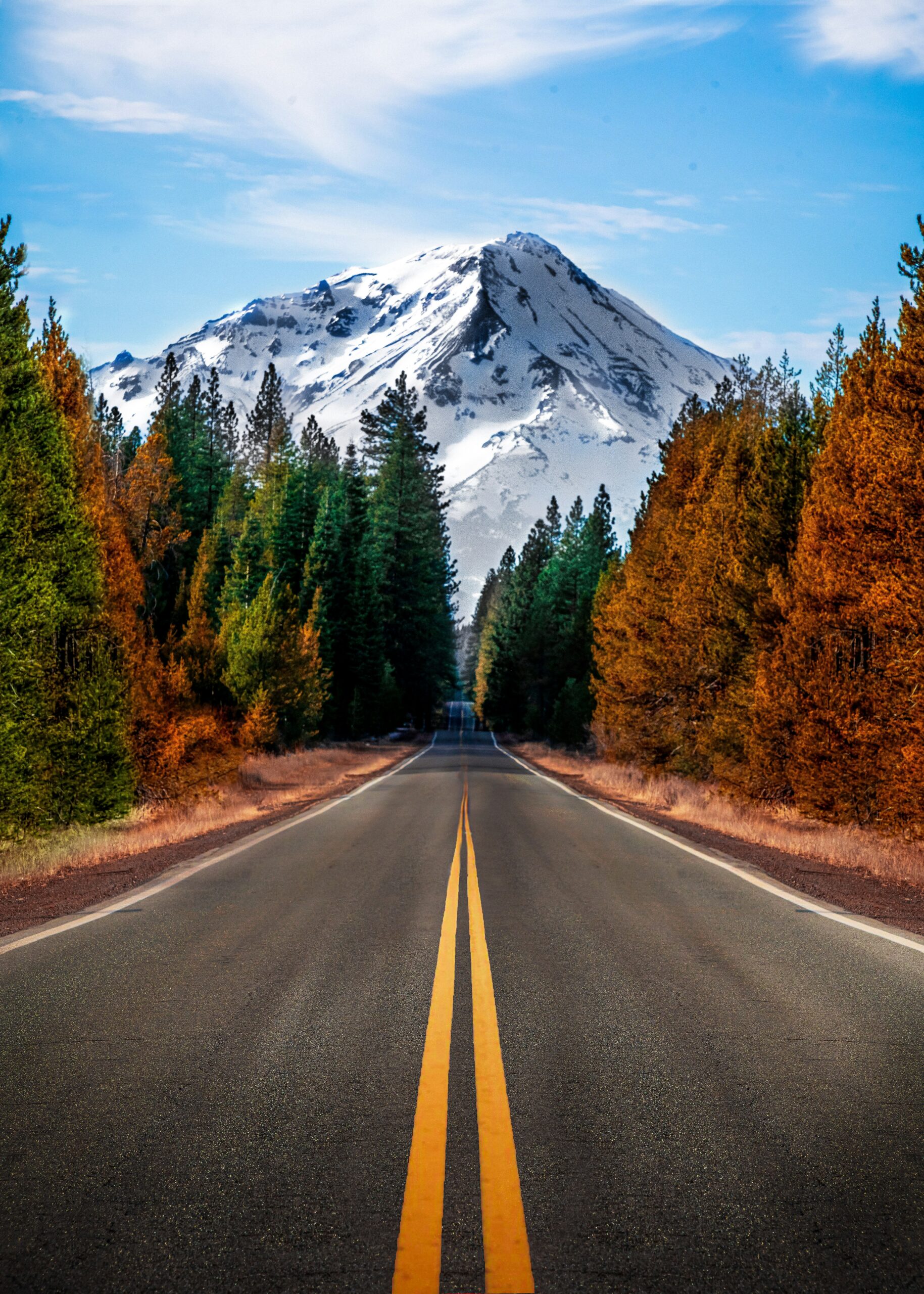 What Should I Do In Case Of An Emergency On Mount Shasta?