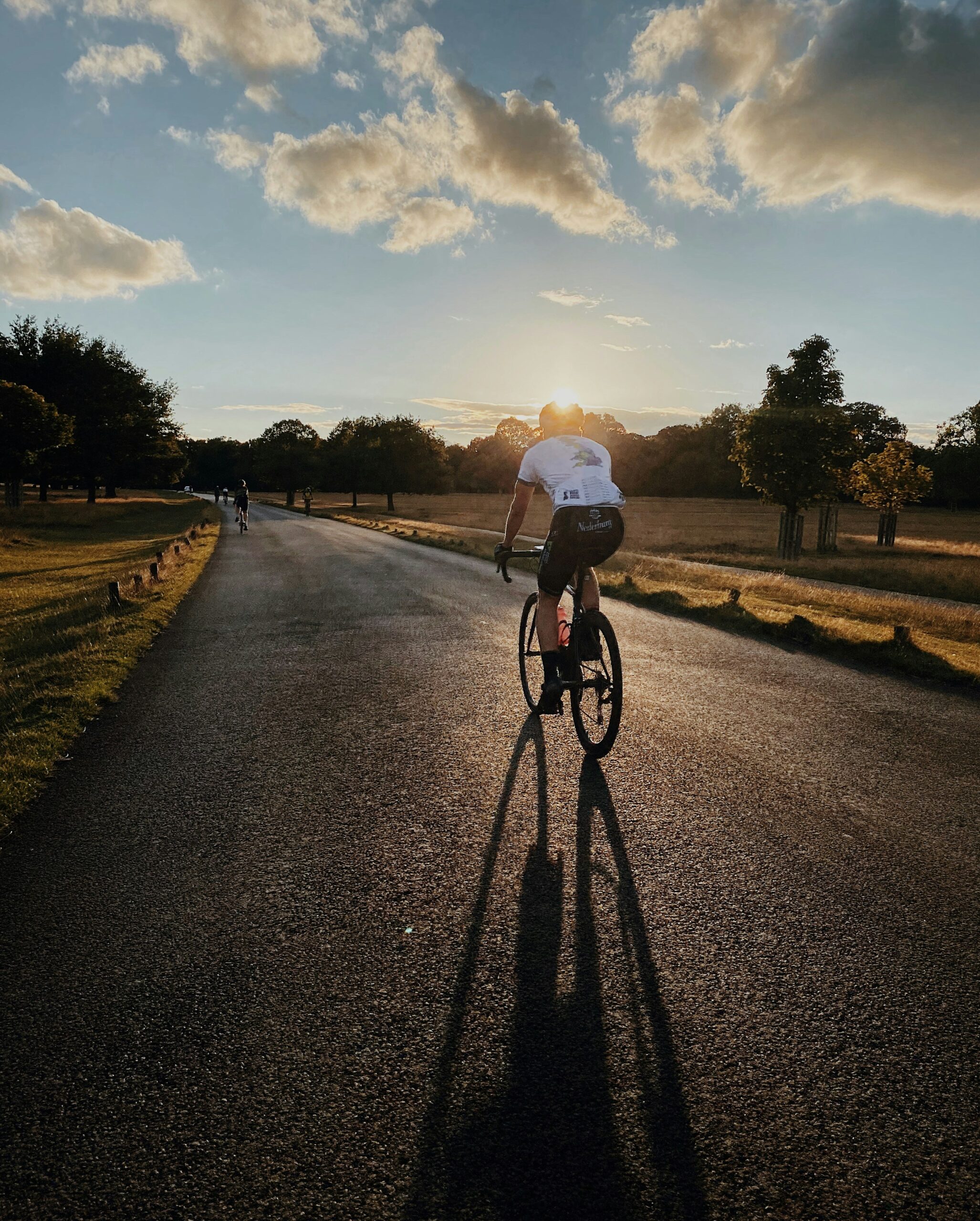 Explore the Beauty of Lake Siskiyou on a Scenic Cycling Adventure