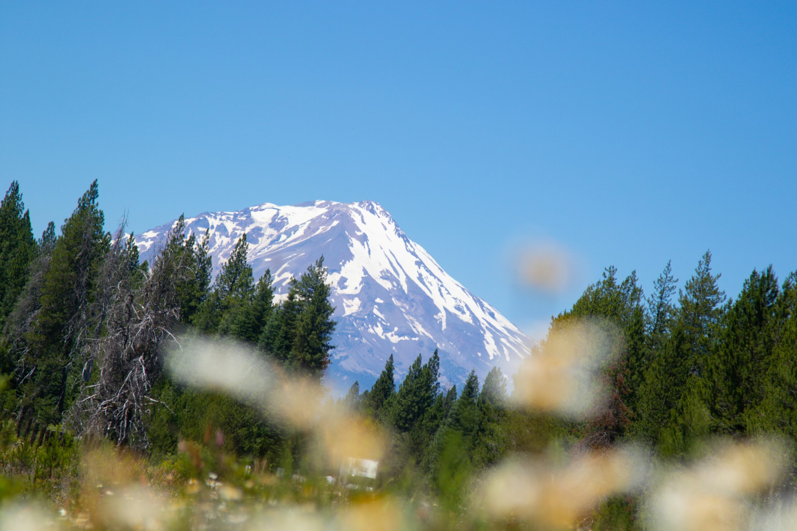 Exploring the Mysteries of Mount Shasta: Unveiling Lemurian Temples and Pyramids