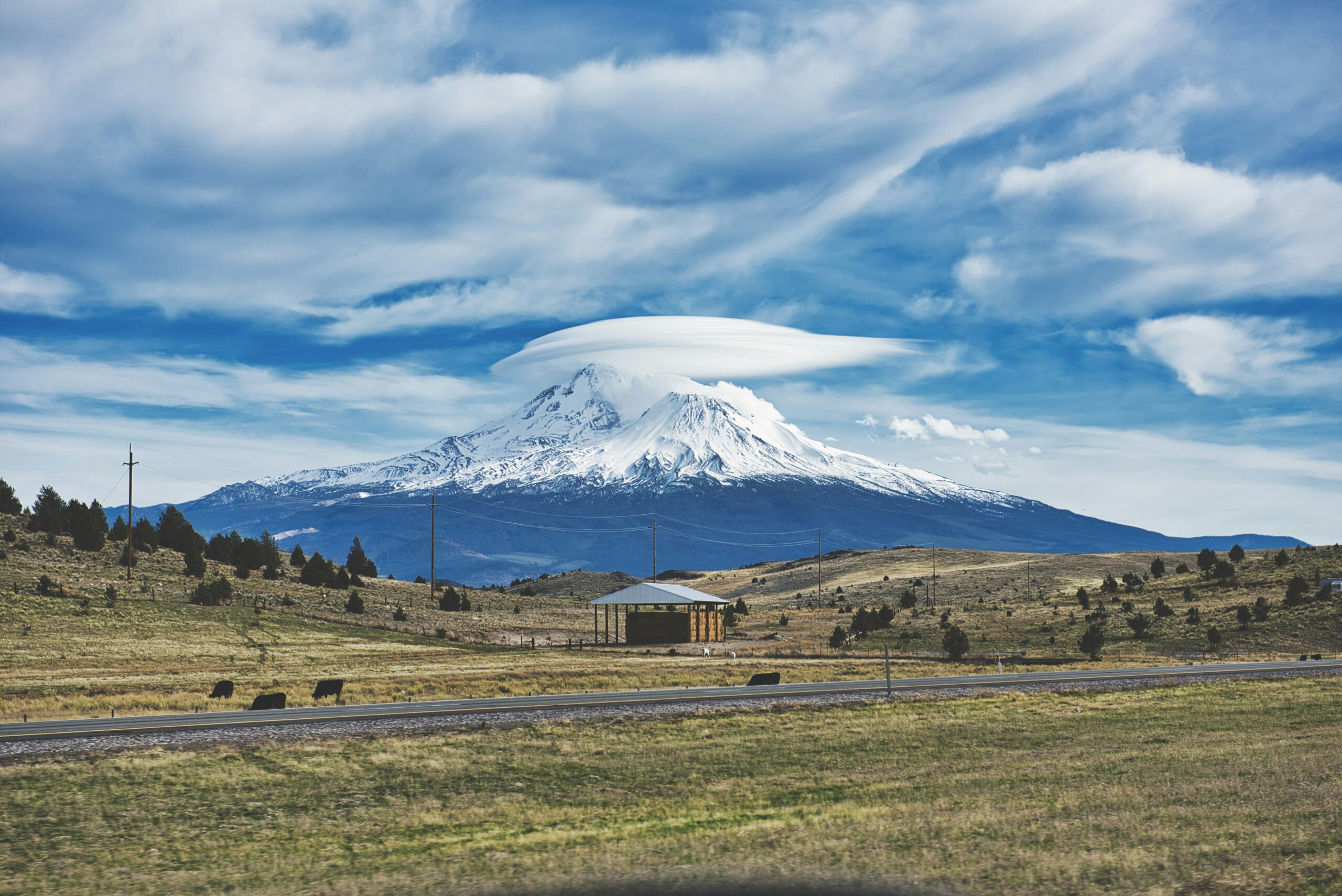 How Many Deaths On Mount Shasta Are Due To Falls Into Snow Crevasses?