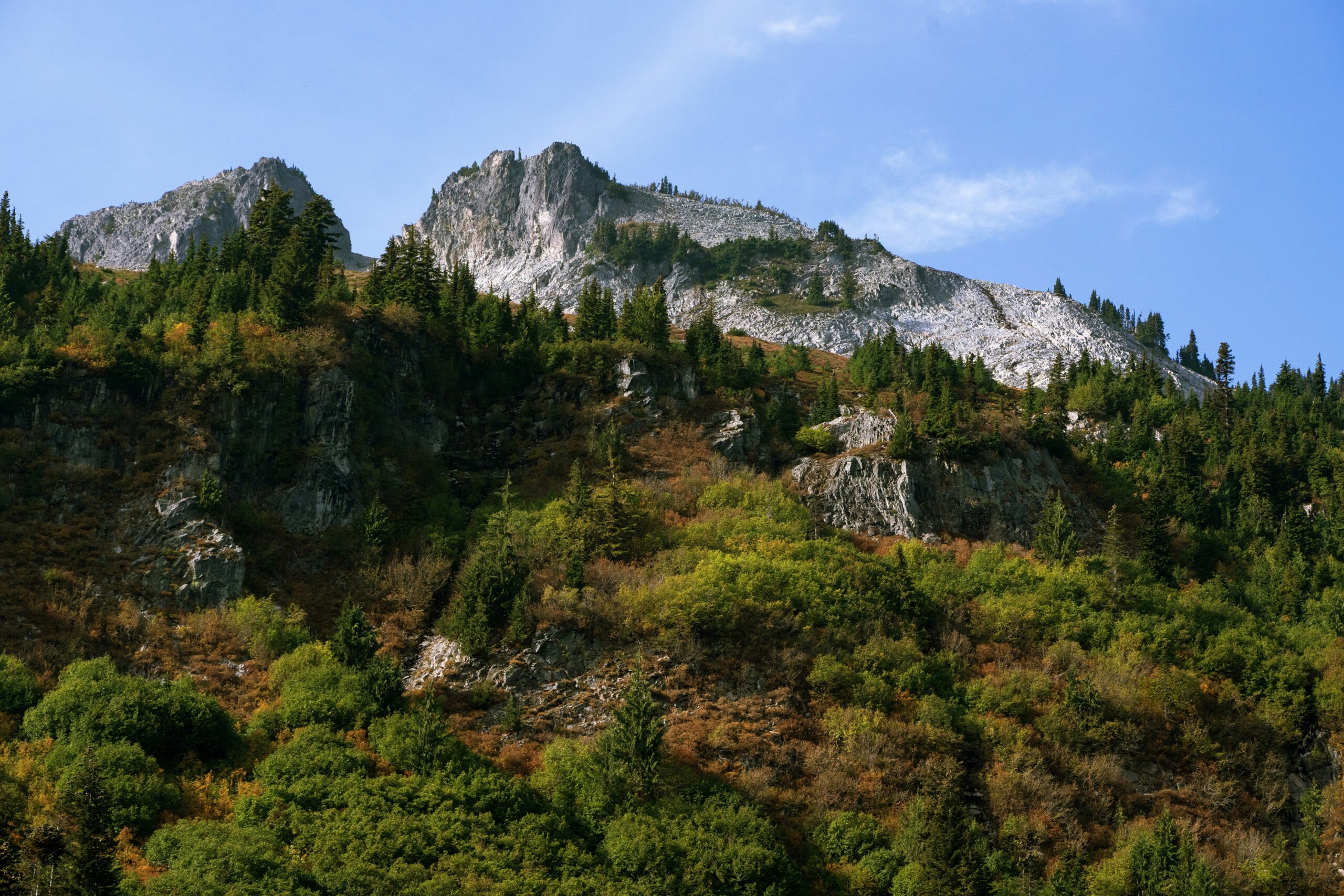 Experience the Breathtaking Display of Autumn Colors at the Fall Foliage Festival