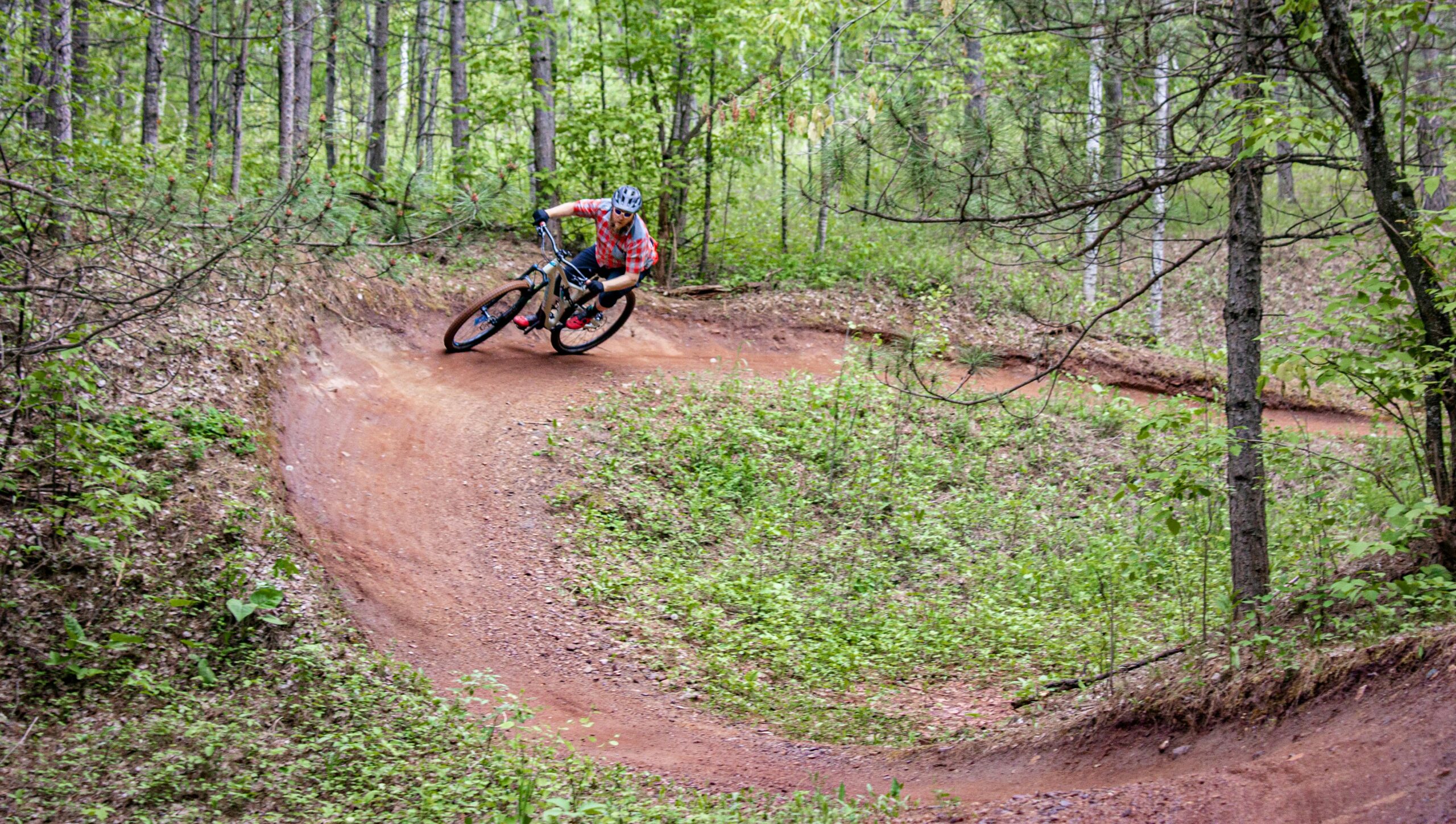 Experience the Thrill of a Scenic Trail Ride with a Local Ranch