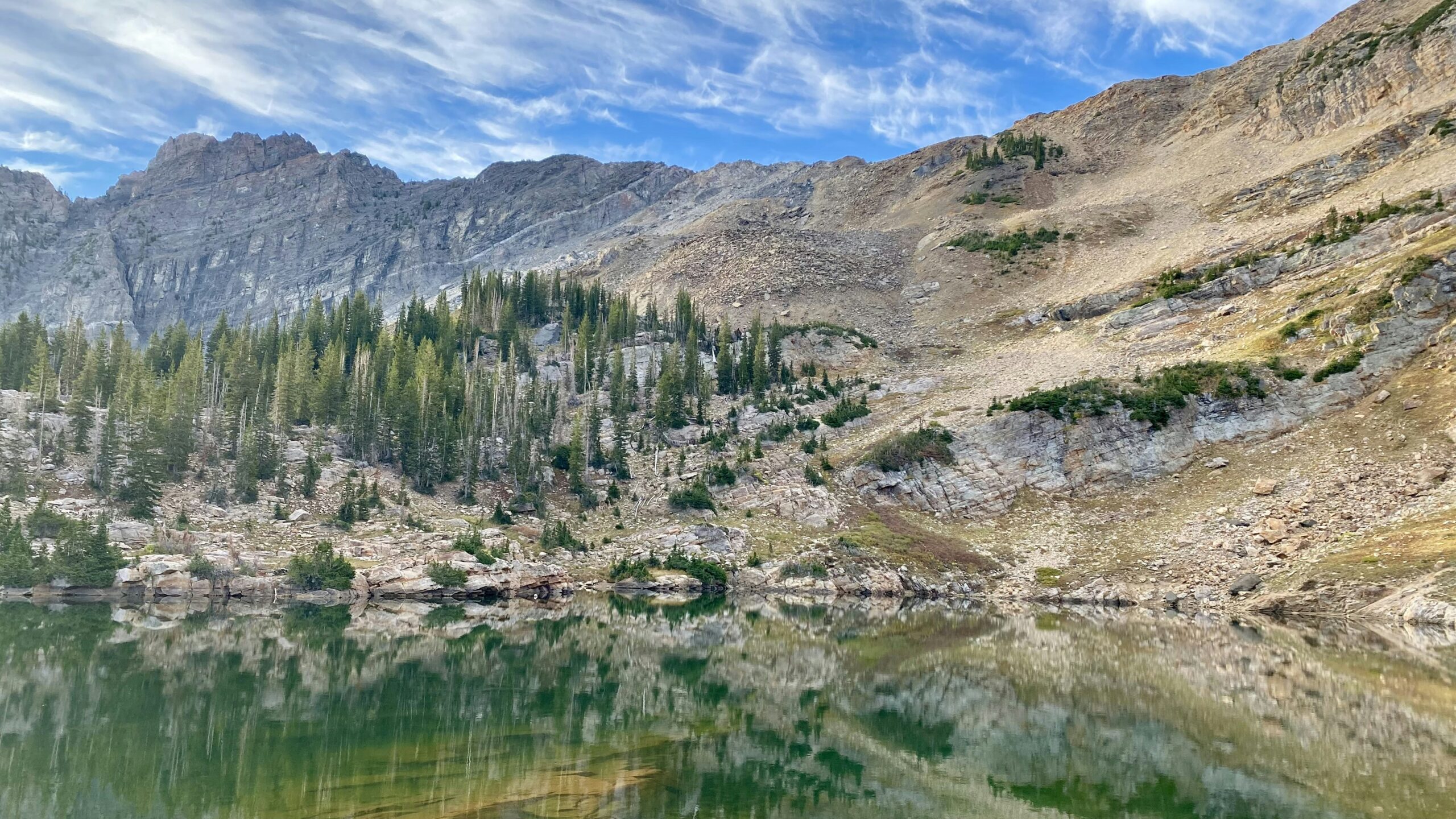 Experience the Thrill: Race Down the Alpine Coaster at Mount Shasta Adventure Park