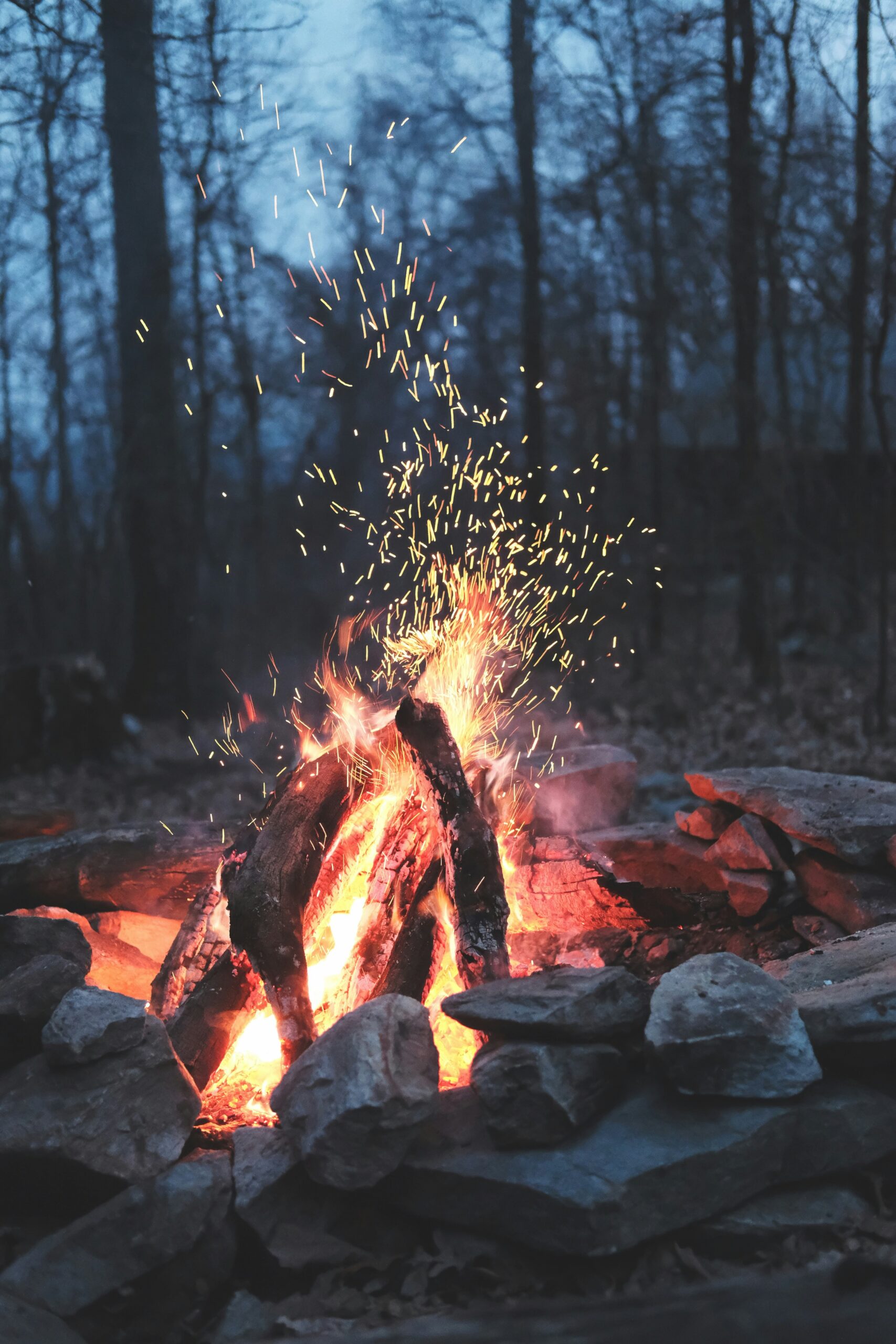 Cozy Campfire: Roasting Marshmallows at Mount Shasta