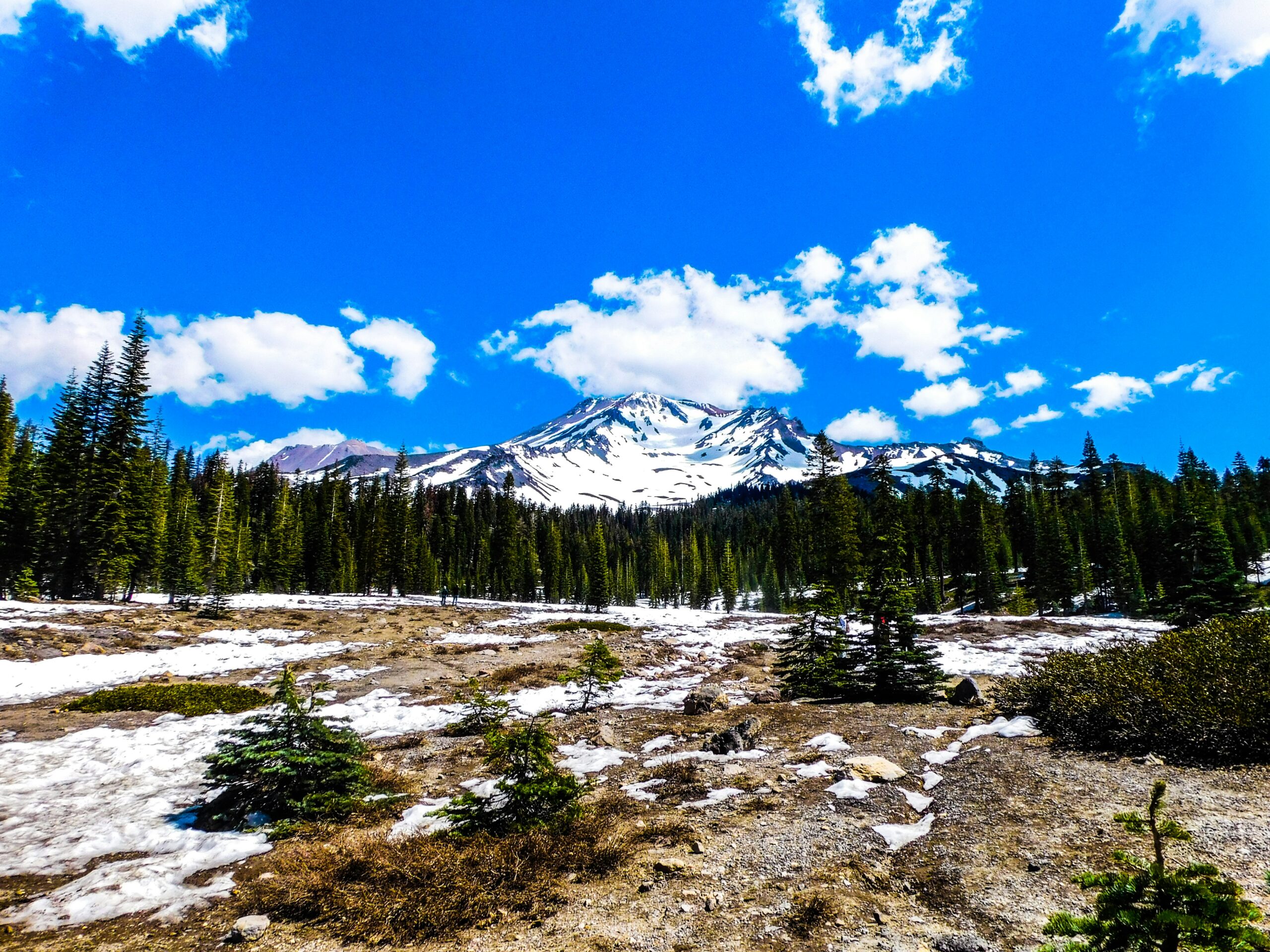 How Do I Get To Mount Shasta City?