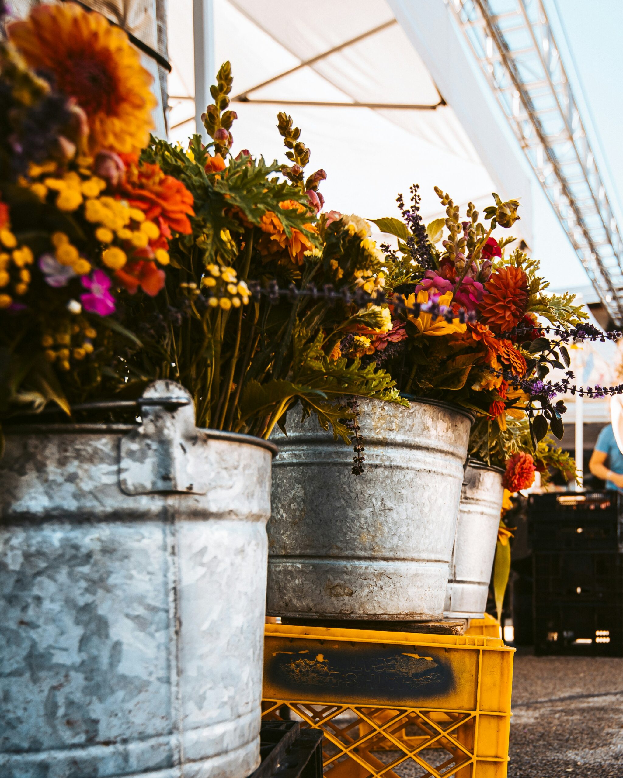 Is There A Farmers Market In Mount Shasta City?