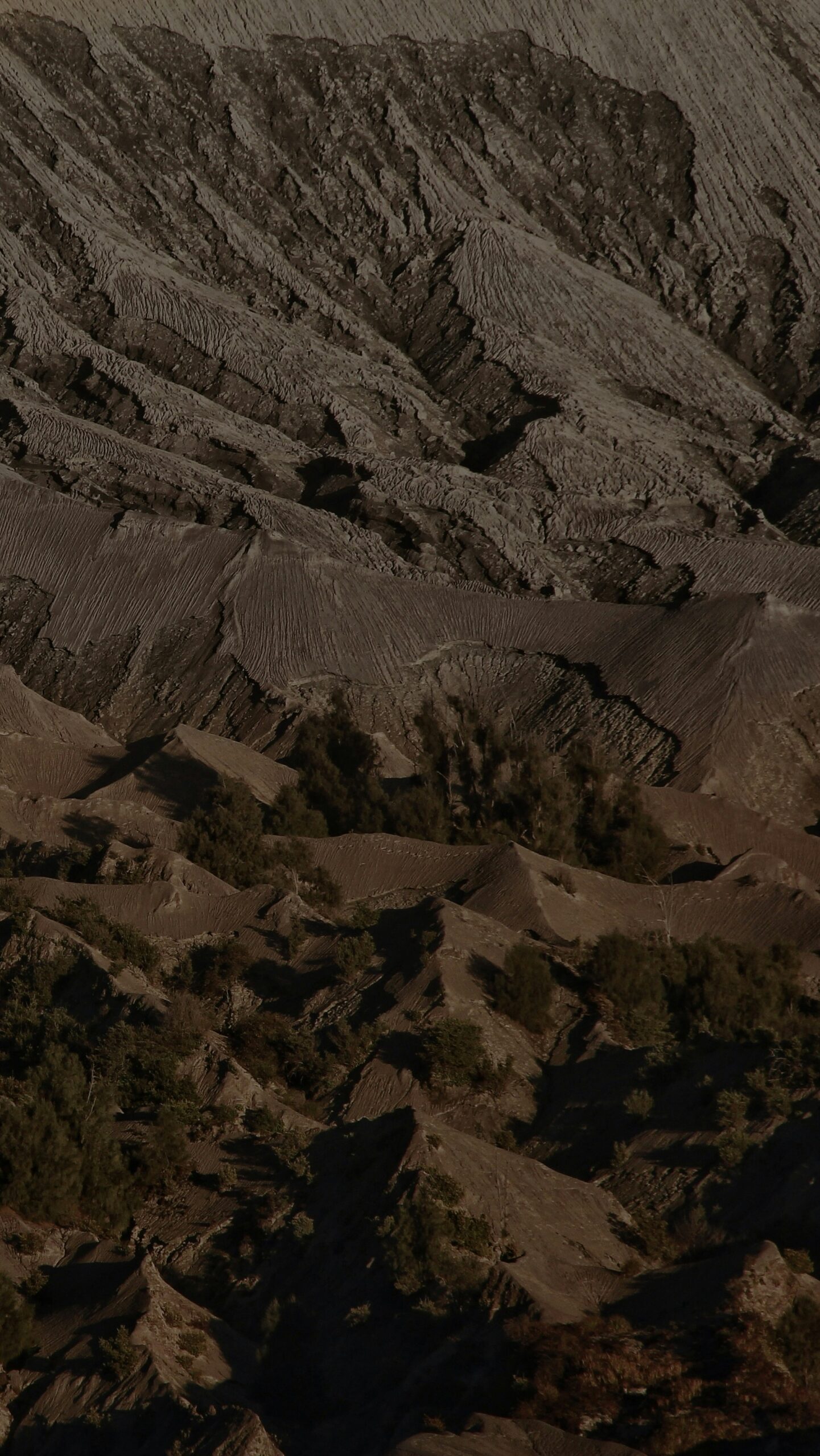 What Is The Elevation Of Mount Shasta City Compared To Nearby Peaks?