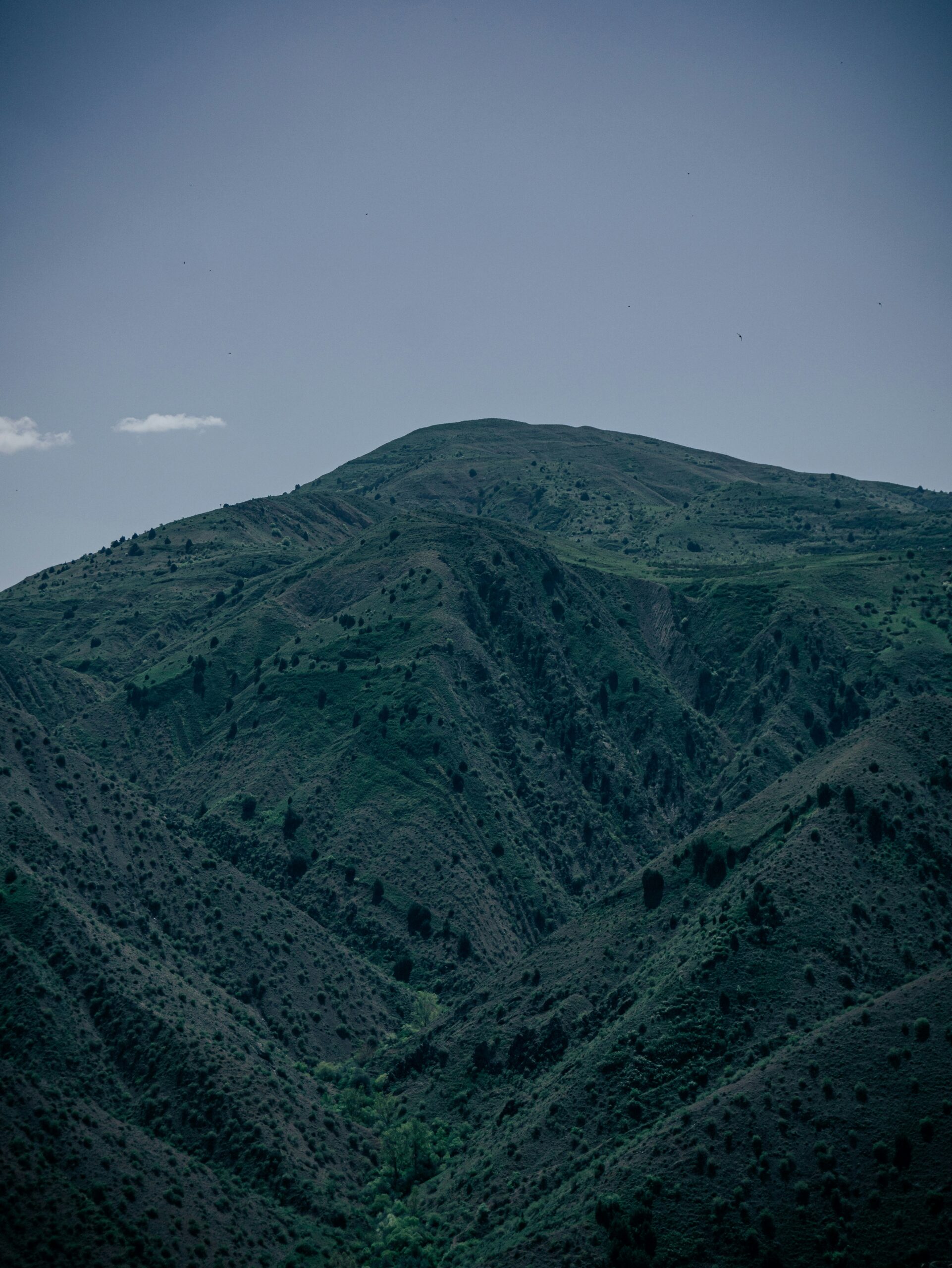 Does The Elevation Of Mount Shasta City Have Any Impact On Agriculture?
