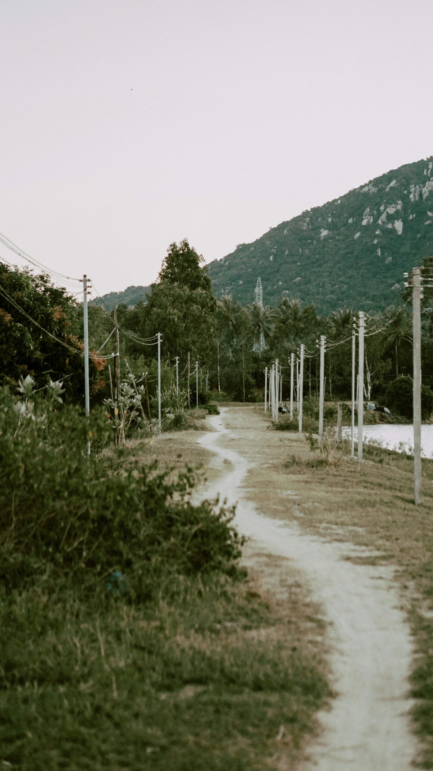 Does The Elevation Of Mount Shasta City Have Any Impact On Agriculture?