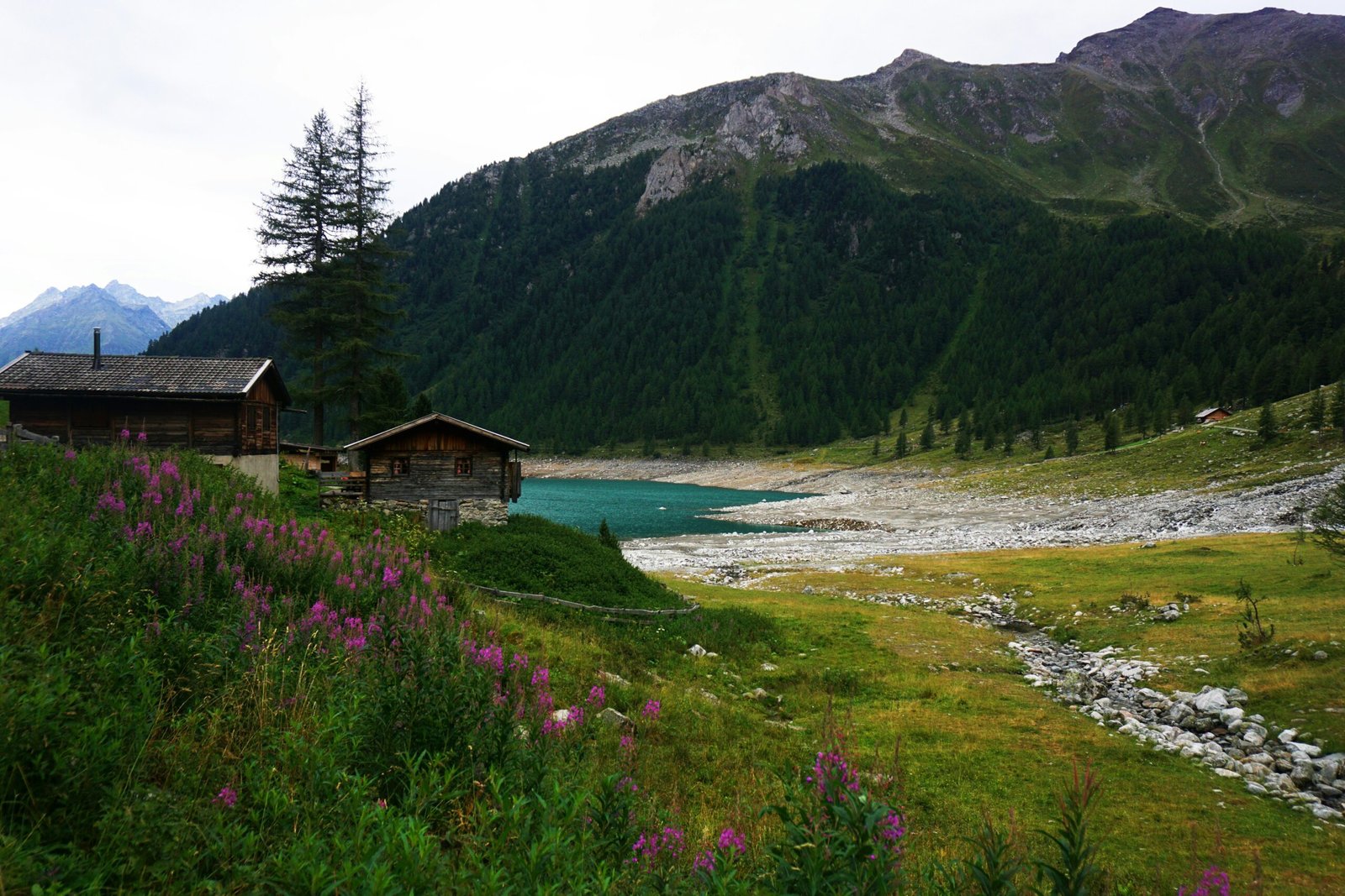 A Day At Castle Lake: Natures Serene Gem