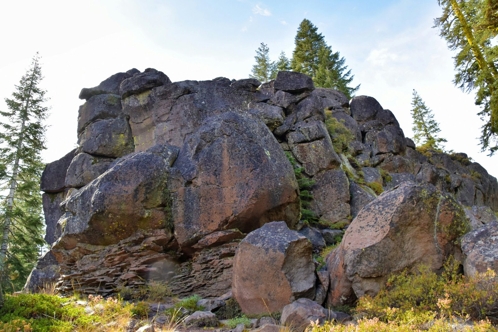 How I Accidentally Became an Exhibit at the Mount Shasta Sisson Museum How I Accidentally Became an Exhibit at the Mount Shasta Sisson Museum
