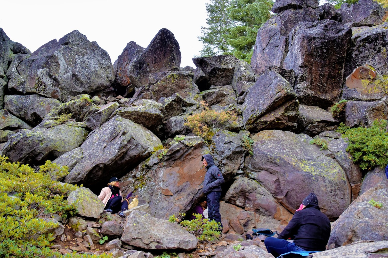 Alpine Originals and My Awkward Salvation on Mount Shasta