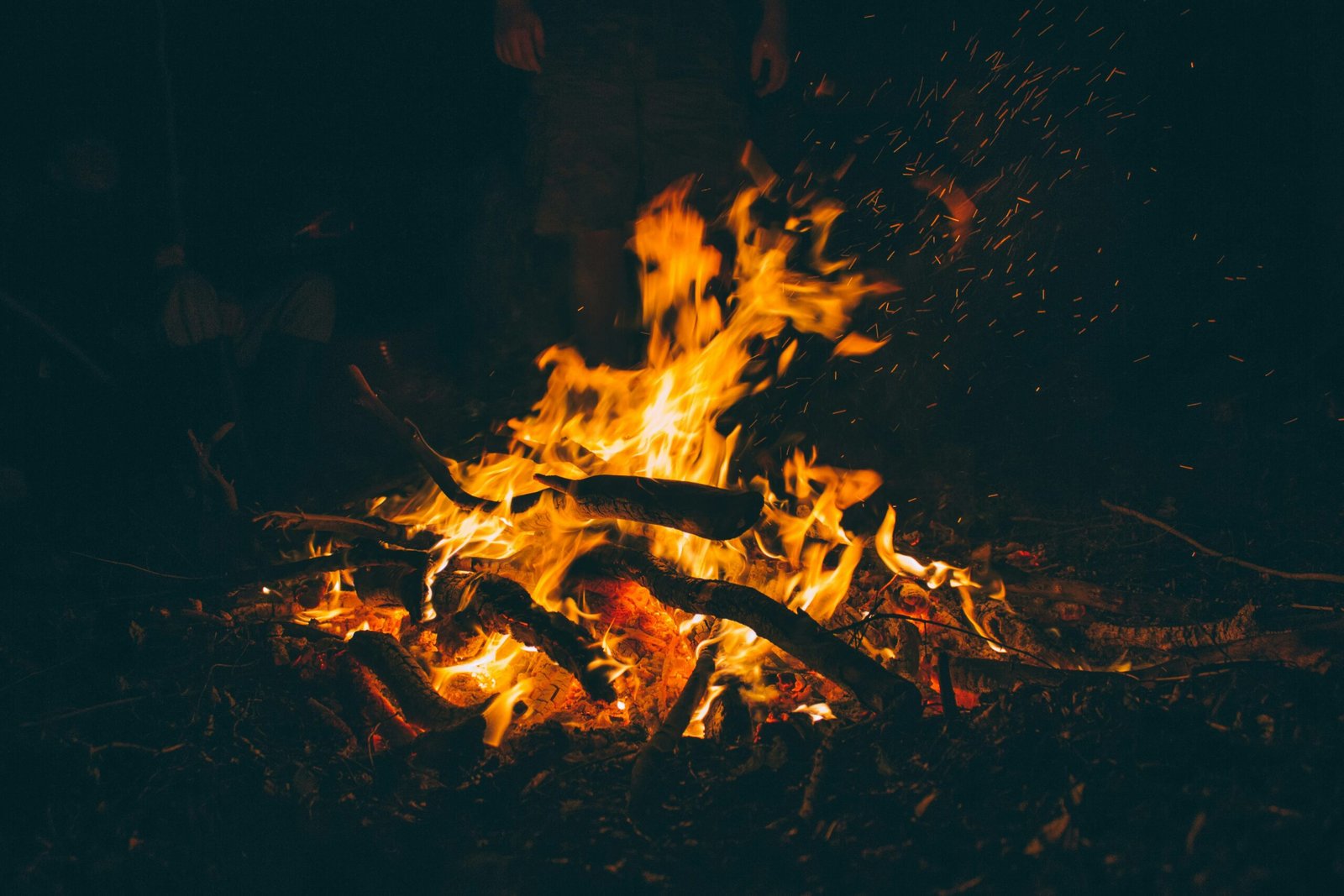 Headwaters Outdoor School and the Accidental Intimacy of Campfire Confessions