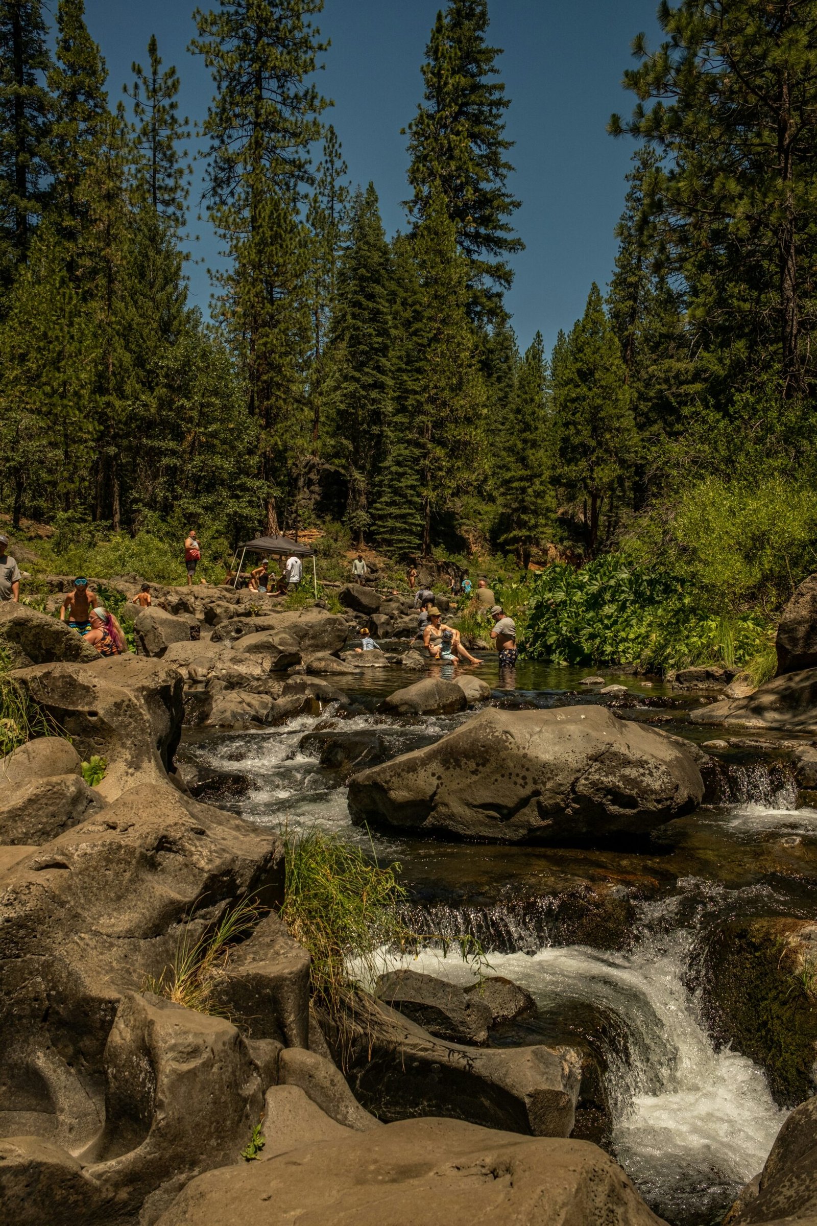 Confessions on the McCloud River Loop