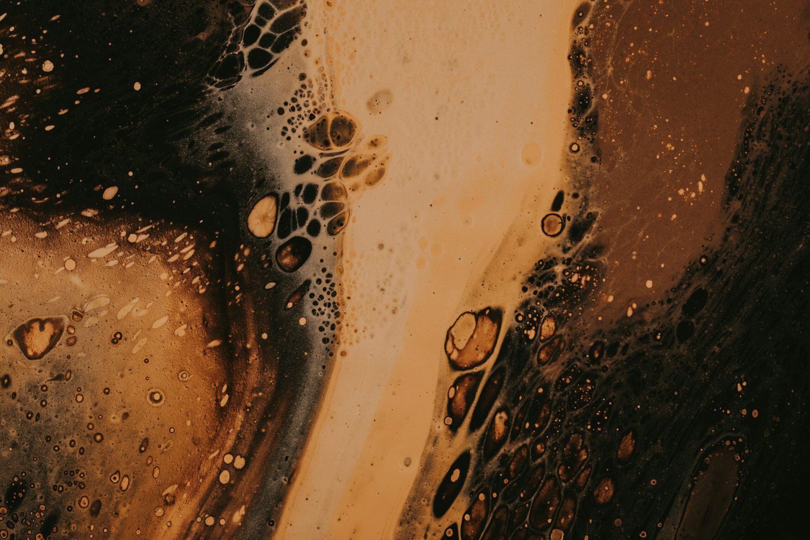 Mount Shasta Brewing Company and the Confessions of an Amateur Beer Taster