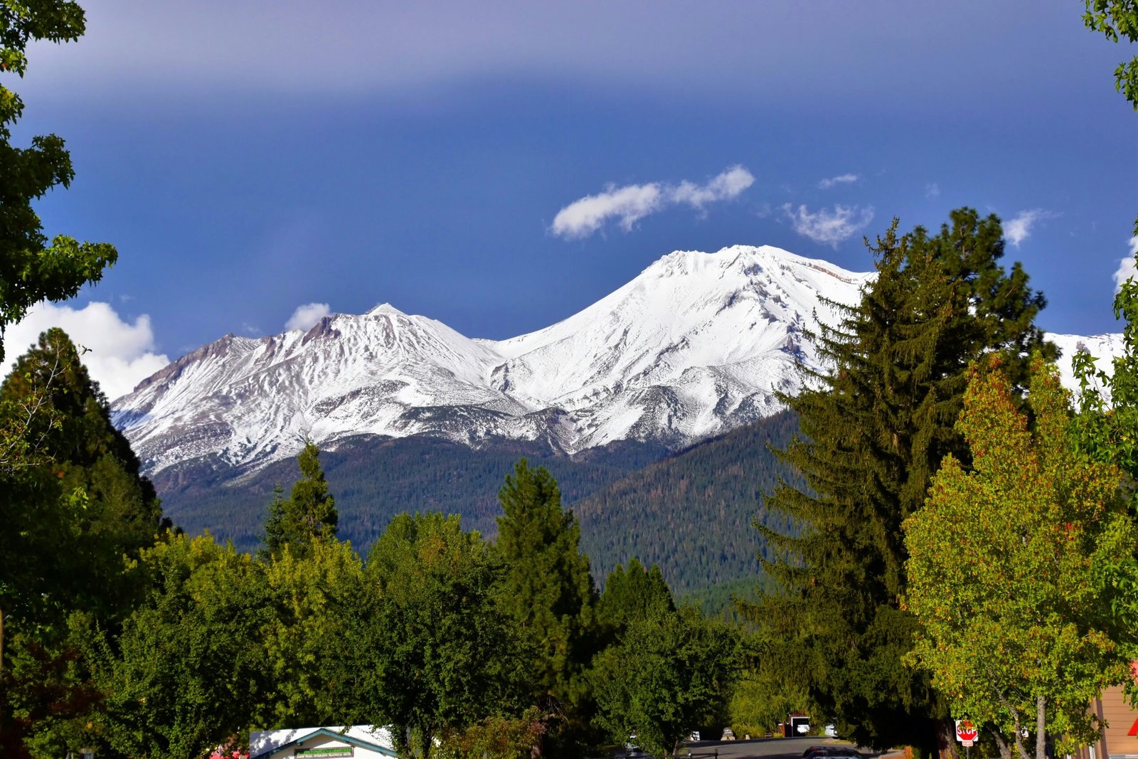 Bistro One Oh Seven Confessions from Mount Shasta Bistro One Oh Seven Confessions from Mount Shasta