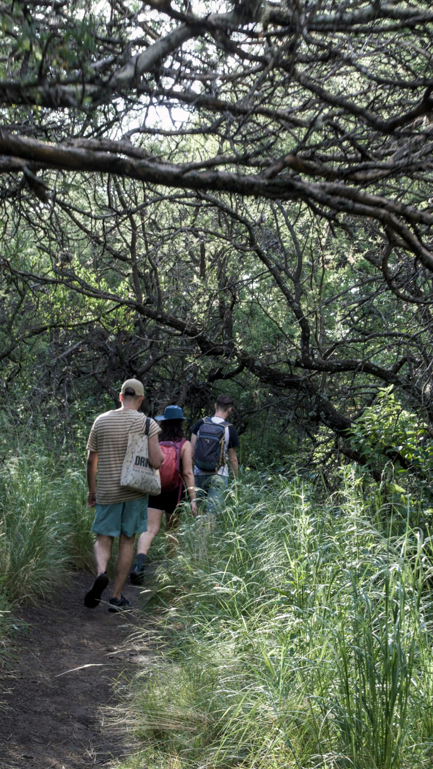5 Best Learn about the Flora and Fauna on Guided Nature Walks