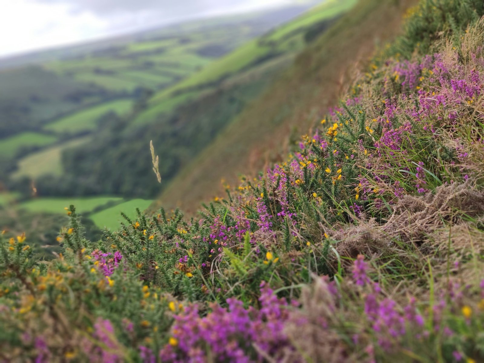 5 Best Learn about the Flora and Fauna on Guided Nature Walks