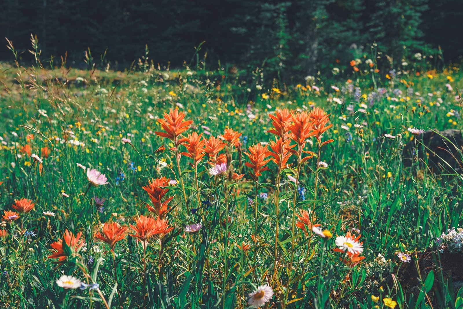 Learn about the Flora and Fauna on Guided Nature Walks: Best Learn about the Flora and Fauna on Guided Nature Walks: Best