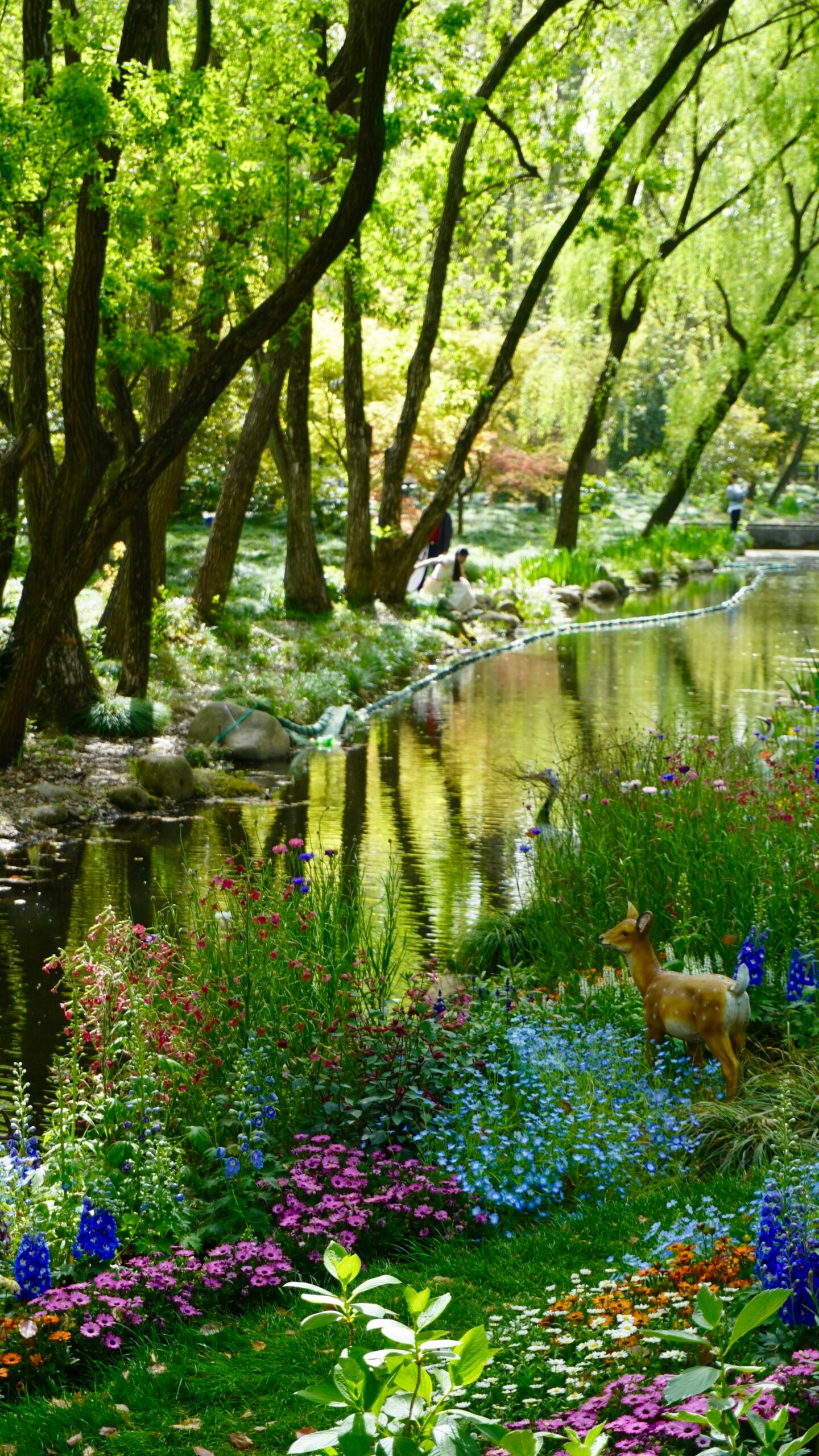 Learn about the Flora and Fauna on Guided Nature Walks: Best Learn about the Flora and Fauna on Guided Nature Walks: Best